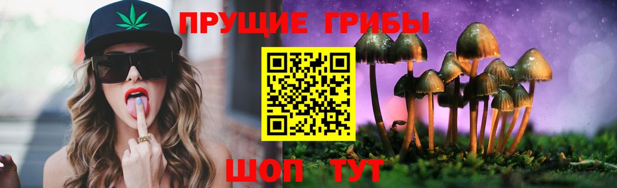 Псилоцибиновые грибы Psilocybine cubensis  Галлюциногенные грибы Psilocybe  Вход с VPN  Чайковский 